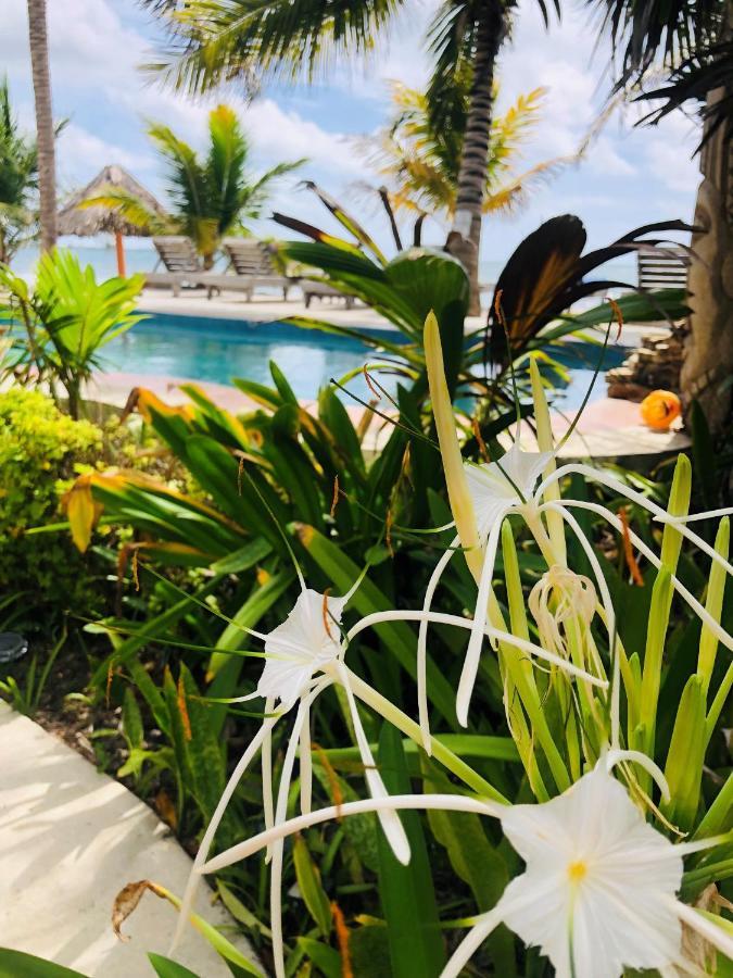 Coral Cove Inn Maya Beach Exterior photo